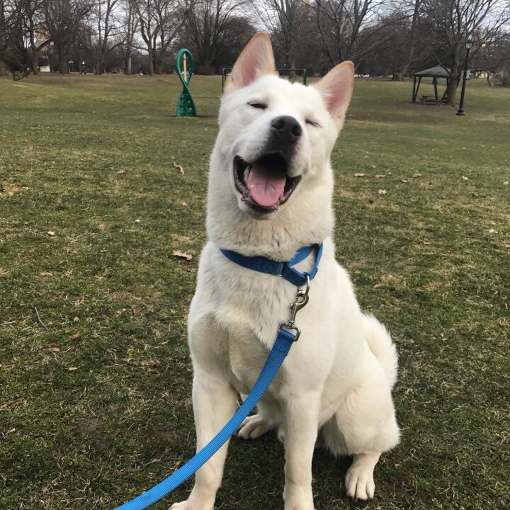 Meet your Posher, Marissa